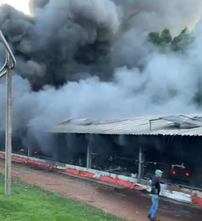 Incêndio destrói barracão com 10 mil frangos em Quarto Centenário