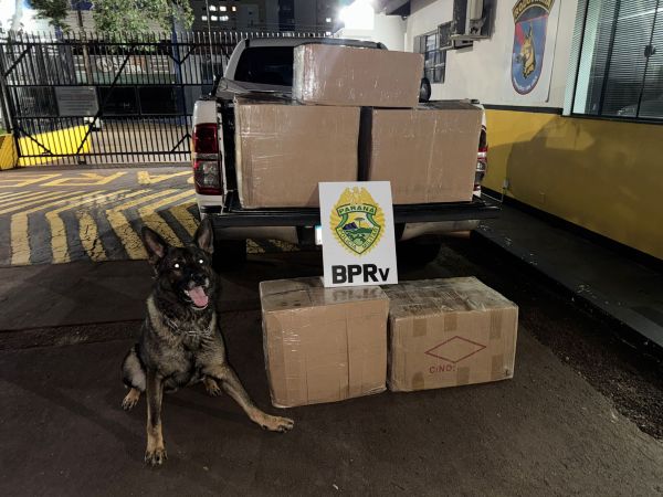 Homem é preso com mais de 2 mil cigarros eletrônicos