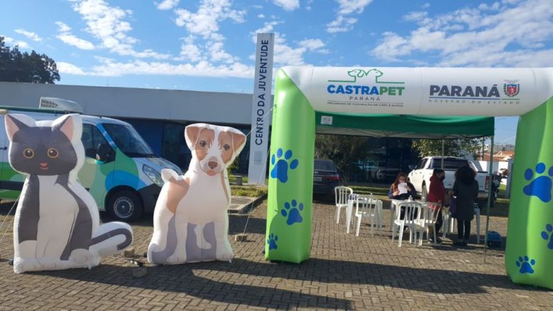 Inscrições para Castração de Cães e Gatos começam na segunda-feira