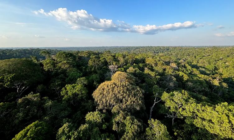 Belém vira centro global da luta climática