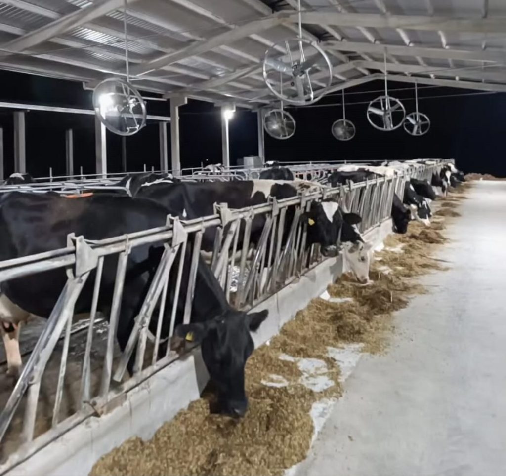 Lei sancionada pelo Governador Ratinho Junior  proíbe reconstituição de leite em pó importado