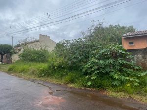 Moradores do Jardim Primavera reclamam de matagal