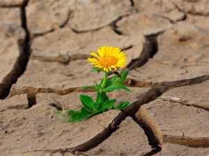 ESPERANÇA COMBUSTIVEL PARA A VIDA!