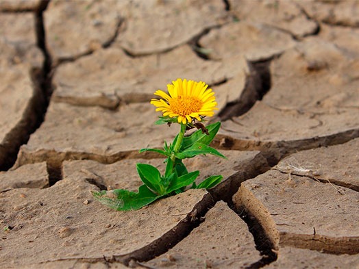 ESPERANÇA COMBUSTIVEL PARA A VIDA!