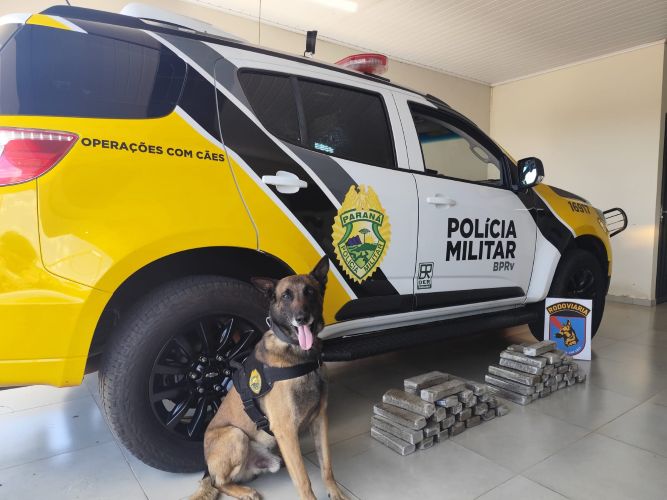 PRF apreende drogas e prende dois jovens na PR-323