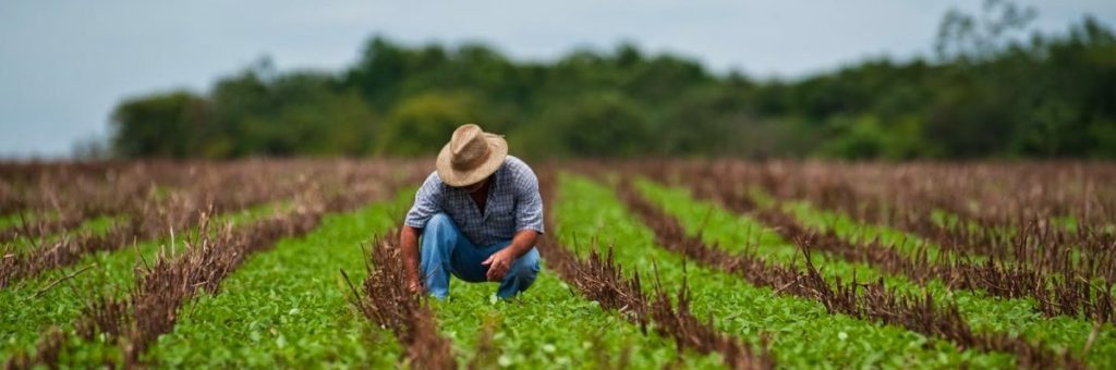 CMN prorroga prazo de restrição no crédito rural após atuação do Sistema FAEP