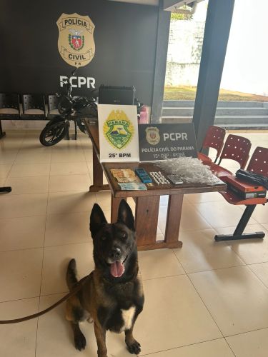 Operação conjunta prende homem por tráfico de drogas