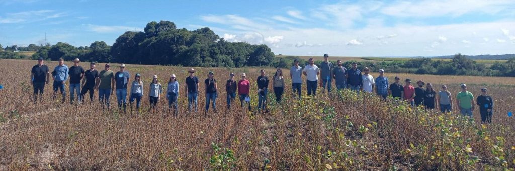 Terraços em lavouras reduzem perda de água no solo em até 78%, revela estudo no Paraná