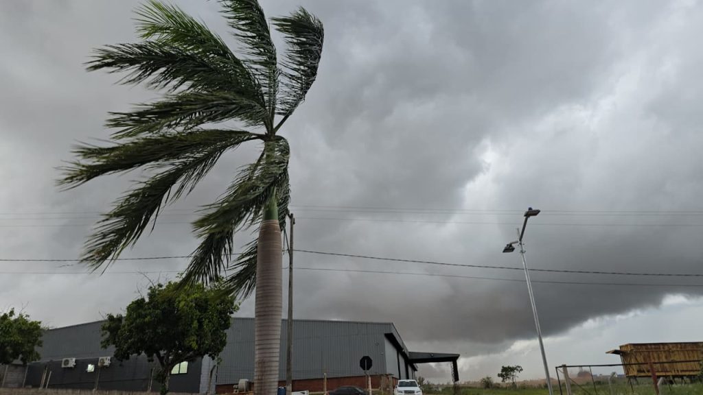 377 municípios paranaenses entram em alerta de vendaval nesta quarta; Goioerê está entre eles
