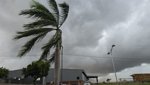 377 municípios paranaenses entram em alerta de vendaval nesta quarta; Goioerê está entre eles