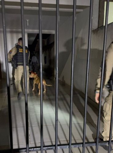 PM controla ataque de cão feroz e garante segurança de moradora