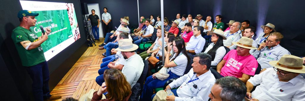 Paraná lança plataforma para monitorar cigarrinha-do-milho