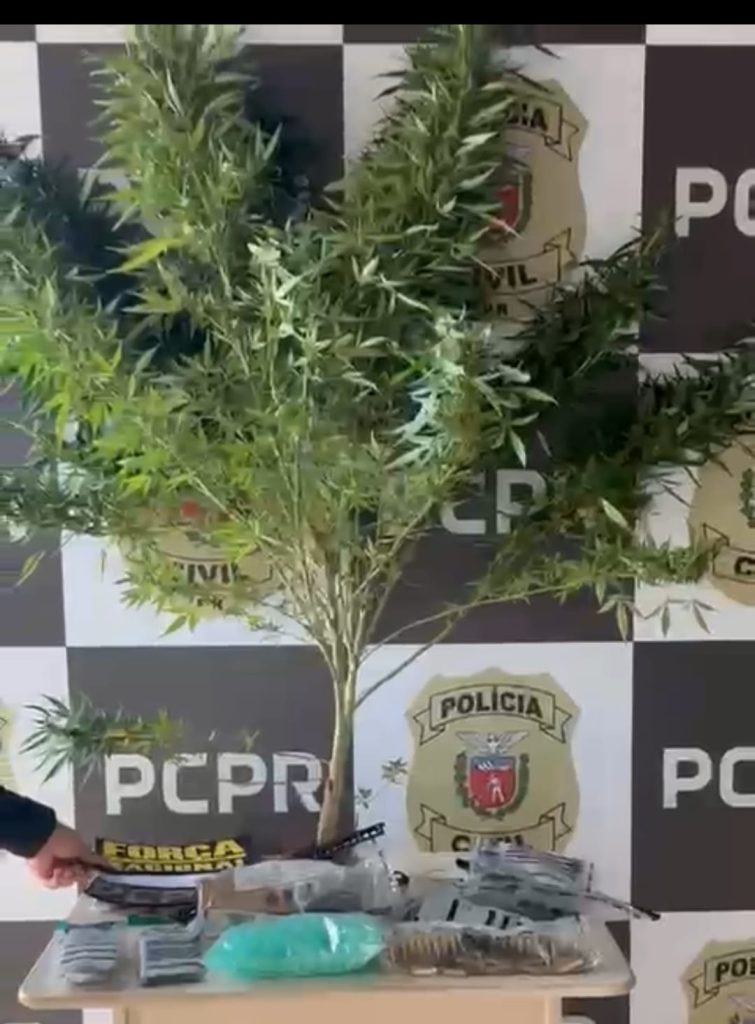 PCPR e Força Nacional apreendem drogas em Moreira Sales