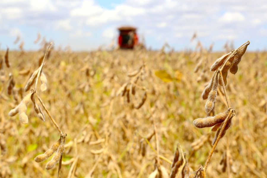 Safra paranaense cresce 306 mil toneladas e atinge 22,3 milhões