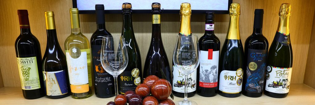 Paraná avança para se tornar referência nacional na produção de vinhos