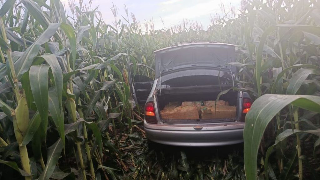 Apreensão recorde na Rodovia PR-239