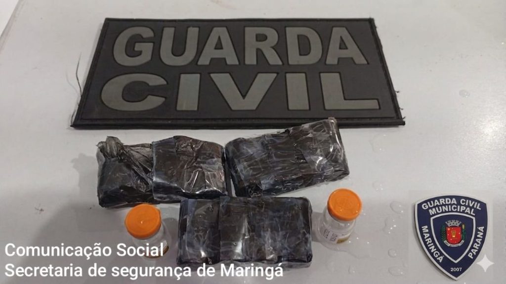 GCM apreende medicamentos irregulares de R$ 21 mil