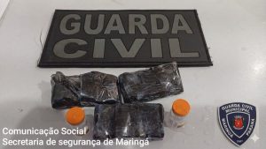 GCM apreende medicamentos irregulares de R$ 21 mil