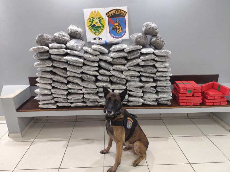 Operação Protetor apreende 133 kg de maconha em veículo na BR 277