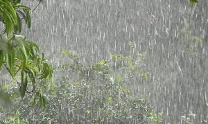 Previsão do tempo indica fim de semana chuvoso e queda de temperatura no Paraná