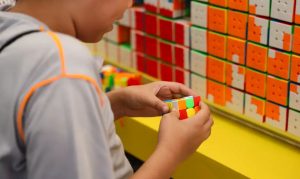 Escolas têm até 31 de julho para alimentar Educacenso
