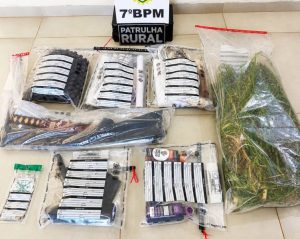 Polícia desarticula plantação de maconha em propriedade rural de Goioerê