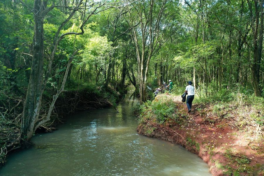Prefeitura abre Mês do Meio Ambiente com palestra na UEM