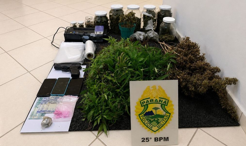 PM desmonta plantação com 334 pés de maconha e prende casal