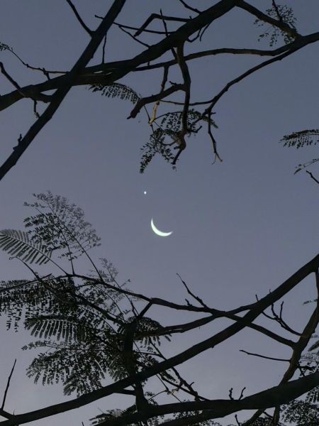 Alinhamento de planetas encanta observadores em todo o Brasil
