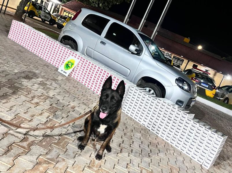 Contrabando de cigarros leva mulher à prisão