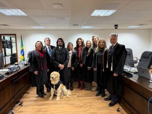 Teddy, cão de assistência judiciária, humaniza atendimento a vítimas no Paraná