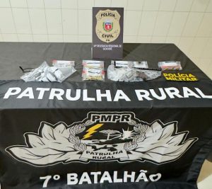 Homem é preso com armas durante operação em Goioerê