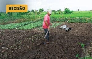 TJPR barra despejo de arrendatários rurais
