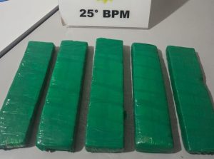 Mais de 2 kg de maconha são encontrados em quintal de residência