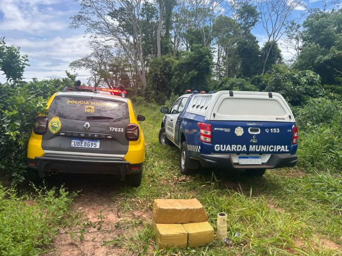 Apreensão de maconha remove 75 quilos de área rural