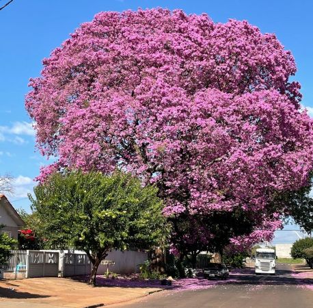 Paraná terá trégua na chuva e queda de temperatura