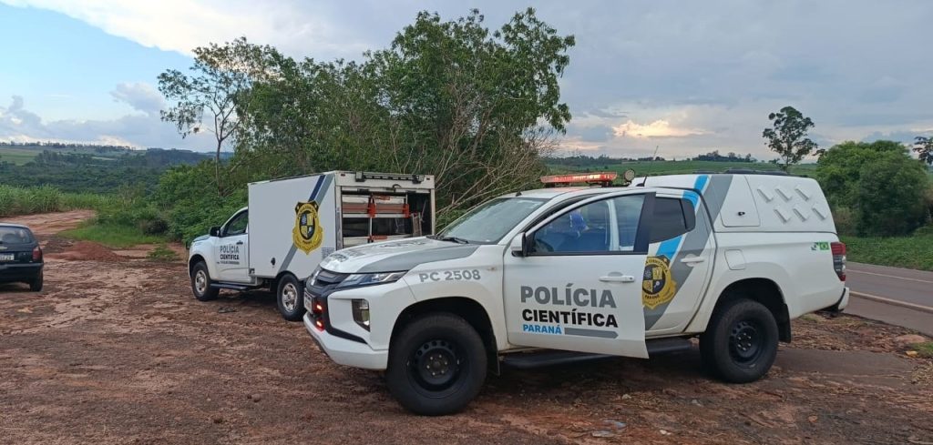 Moradora encontra corpo em decomposição às margens de rodovia