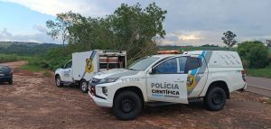 Moradora encontra corpo em decomposição às margens de rodovia